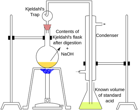 Phân tích đạm theo phương pháp Kjeldahl