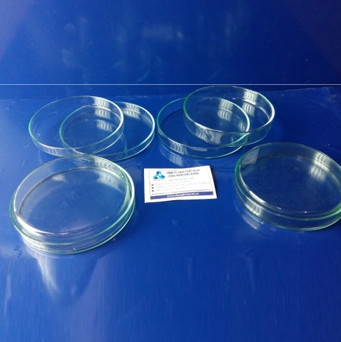 Hộp lồng petri fi 10