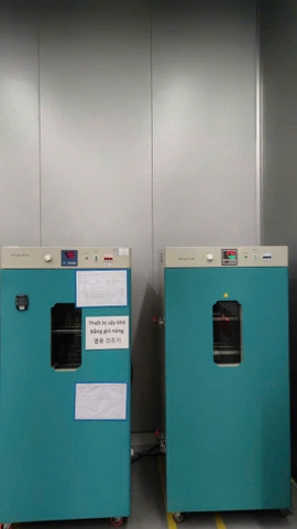 Tủ sấy dăm gỗ 225 lít DHG-9240B