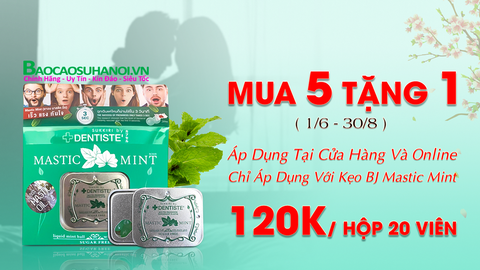 Kẹo Ngậm BJ Phòng The Mastic Mint Chính Hãng Hộp 20 Viên