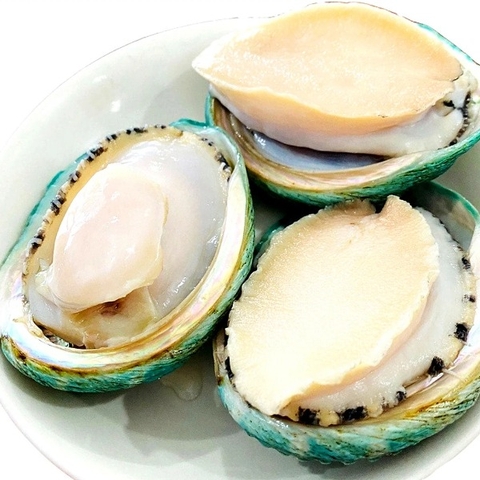 Bào Ngư Úc Viền Xanh Size 6-7 - Frozen Green Lip Abalone Big Size