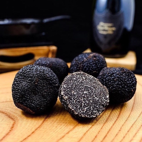 Nấm cục Truffle Mùa Đông Cỡ Lớn