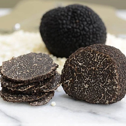 Nấm Truffle Mùa Đông Ý - Nấm Cục Đen Tươi