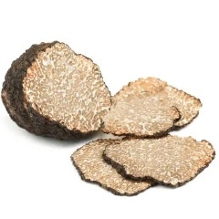 Nấm Truffle Cục Tươi thượng hạng