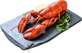 Tôm Hùm Alaska size To - Big Lobster Alaska