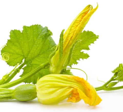 Da Lat Squash Blossom 400g - 600g Tray