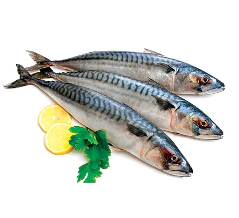 Norwegian Frozen Whole Saba Mackerel