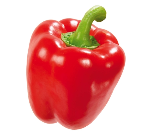 Da Lat Organic Bell Pepper 200g - 300g (Red | Yellow | Green)