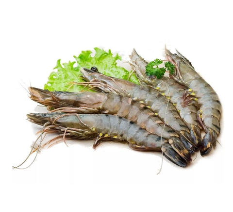 Minh Phu Frozen Black Tiger Shrimp 1kg Box