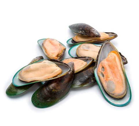 New Zealand Talley's Frozen Half Shell Greenshell™ Mussel 1kg Box (on the half shelf)