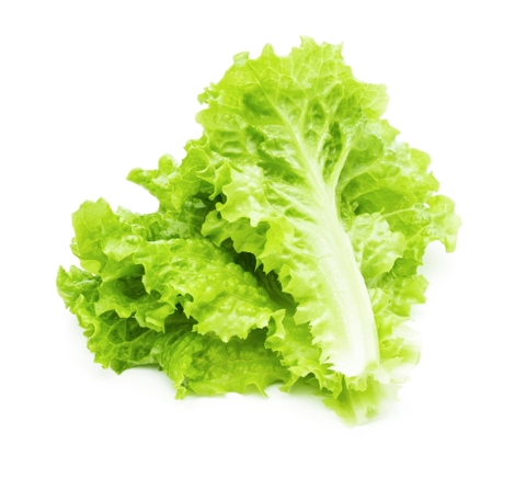 Da Lat Organic Green Leaf Lettuce 200g - 400g