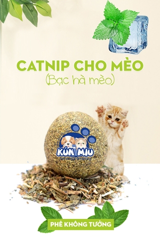 Các sản phẩm Catnip cho mèo, bạc hà mèo