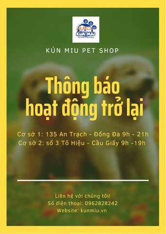 THÔNG BÁO HOẠT ĐỘNG TRỞ LẠI