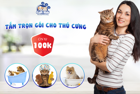 TẮM TRỌN GÓI CHO CHÓ MÈO