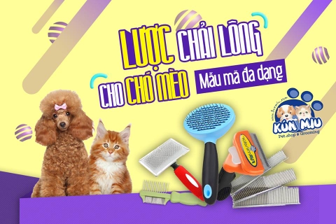 Lược chải lông cho chó mèo