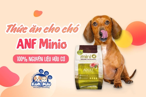 Thức ăn cho chó ANF Minio