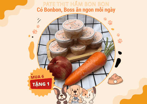 Pate thịt hầm cao cấp Bonbon