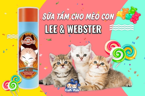 Sữa tắm cho mèo con tốt nhất - Sữa tắm Lee & Webster