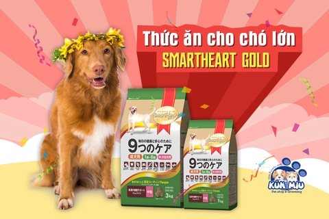 Thức ăn cho chó lớn Smartheart Gold giá rẻ nhất Hà Nội