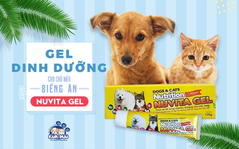 Gel dinh dưỡng cho chó mèo biếng ăn Nuvita Gel 120g