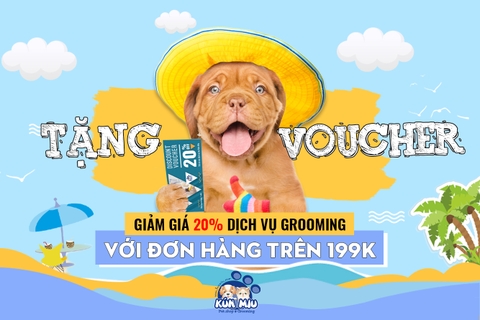 Nhận ngay Voucher giảm 20% dịch vụ làm đẹp chó mèo với đơn hàng trên 199k