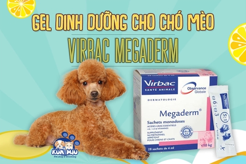 Công dụng của Gel dinh dưỡng cho chó mèo Virbac Megaderm