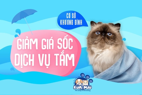 GIẢM GIÁ 50% DỊCH VỤ TẮM cho chó mèo vào các ngày thứ 4 và thứ 5 trong tháng 6