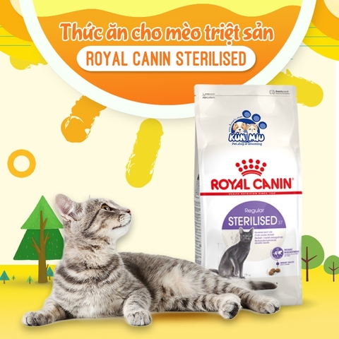 Thức ăn Royal Canin Sterilised Regular cho mèo triệt sản