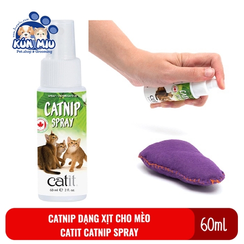 Catnip dạng xịt cho mèo Catit Catnip spray 60ml