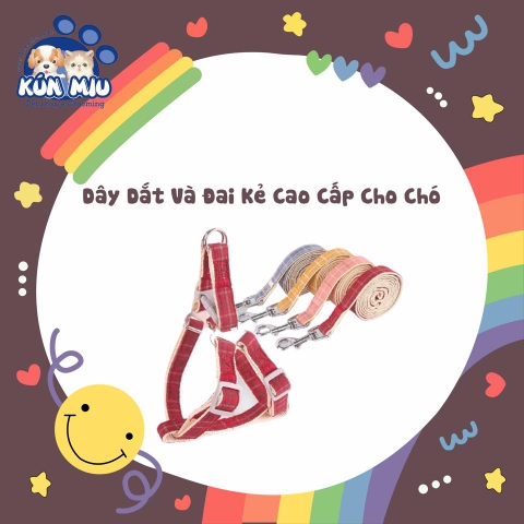 Dây dắt và đai kẻ cao cấp cho chó (màu ngẫu nhiên)