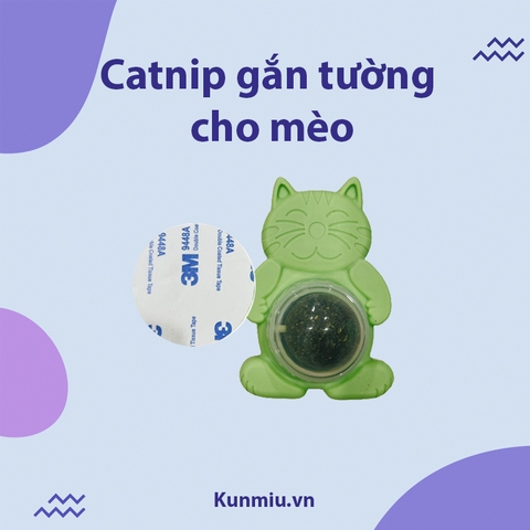 Catnip gắn tường cho mèo