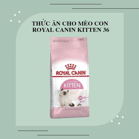 Thức ăn cho mèo con Royal Canin Kitten 36