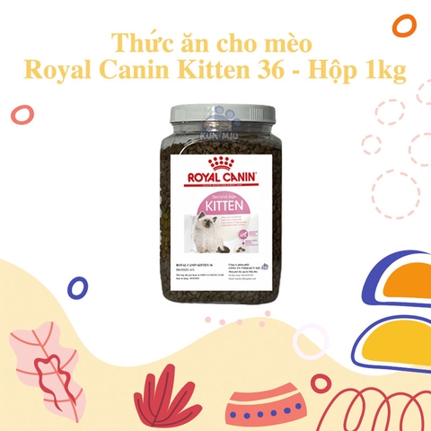 Thức ăn cho mèo Royal Canin Kitten 36 - Hộp 1kg