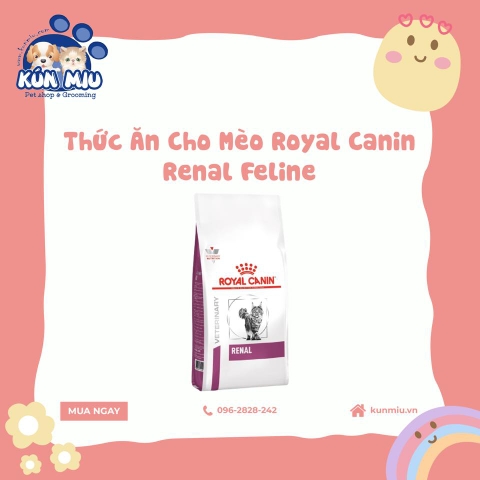 Thức ăn cho mèo Royal Canin Renal Feline