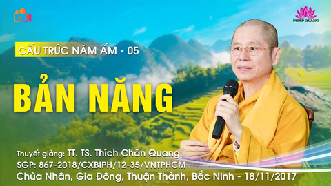 BẢN NĂNG (Cấu Trúc 5 Ấm)- TT. TS. Thích Chân Quang (Chùa Nhân- Bắc Ninh, 18/11/2017)
