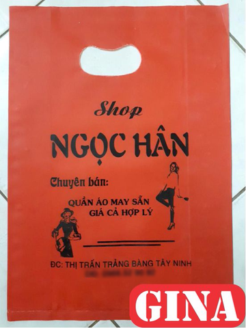 in túi hột xoài giá rẻ, xưởng in ấn