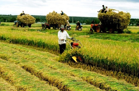 Thị trường máy nông nghiệp ở Việt Nam đã và đang như thế nào?