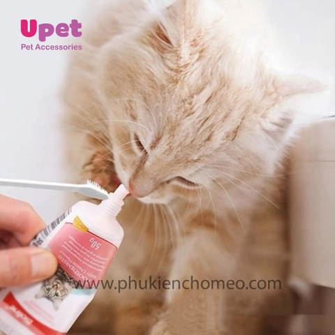 Bộ Kem Đánh Răng Cho Mèo Vị Phô Mai - Bioline 50g