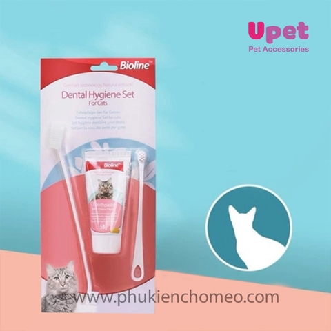 Bộ Kem Đánh Răng Cho Mèo Vị Phô Mai - Bioline 50g