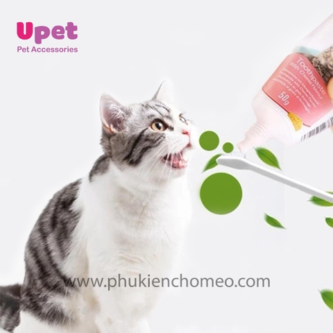 Bộ Kem Đánh Răng Cho Mèo Vị Phô Mai - Bioline 50g