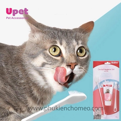 Bộ Kem Đánh Răng Cho Mèo Vị Phô Mai - Bioline 50g
