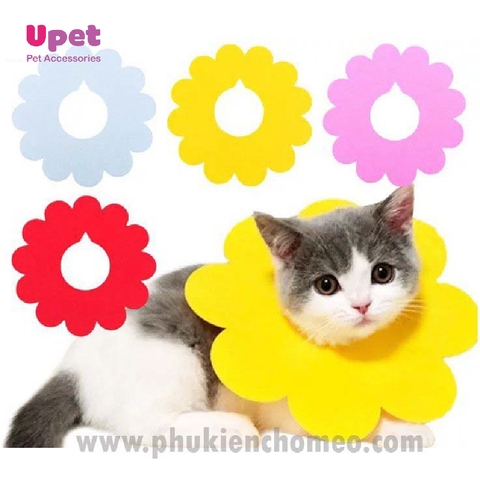 Nón phòng hộ hoa hướng dương cho chó mèo