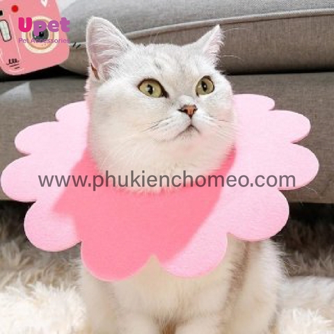 Nón phòng hộ hoa hướng dương cho chó mèo