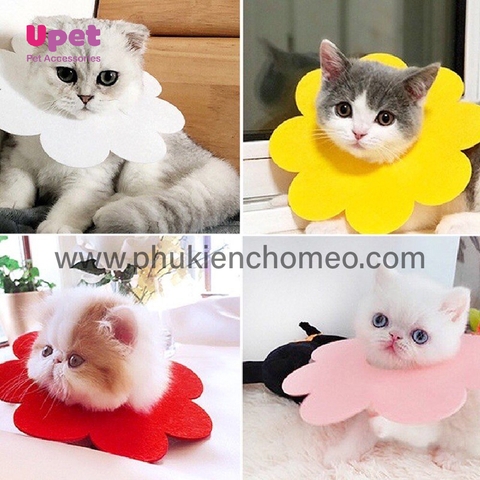 Nón phòng hộ hoa hướng dương cho chó mèo