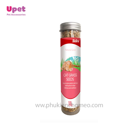 Cỏ Mèo Bạc Hà Bioline Loại 100g Giảm Stress, Cỏ Tiêu Búi Lông