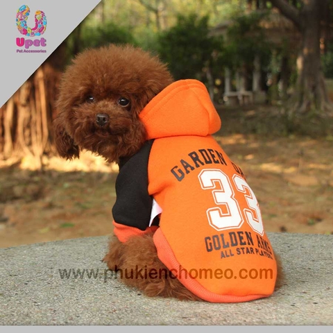 SP1313 - Áo nỉ có mũ