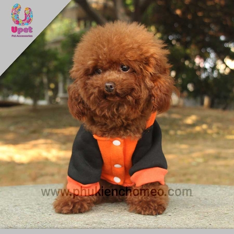 SP1313 - Áo nỉ có mũ