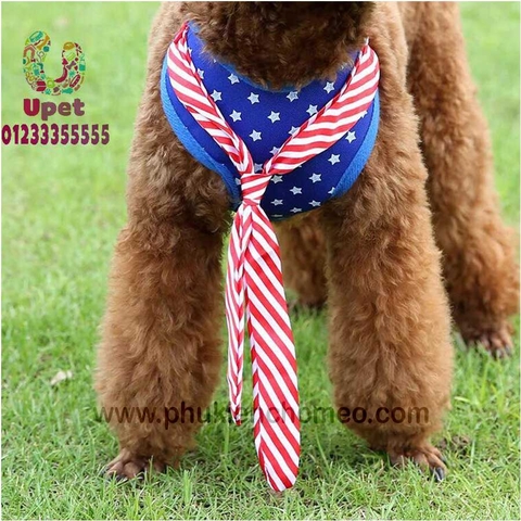 Yếm cavat kẻ caro