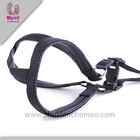 Dây yên ngựa đệm