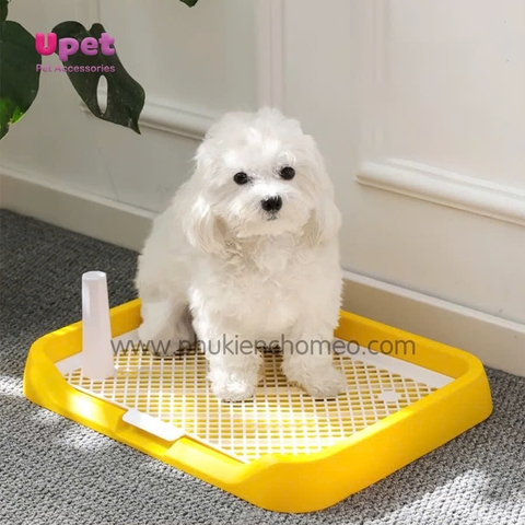Khay vệ sinh cho chó có cọc 45*35*6cm /20c /2024